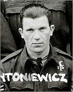 Antoniewicz Józef
